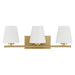 Hunter - 48114 - Three Light Vanity - Fauna Grove - Alturas Gold
