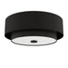 Hunter - 48123 - Two Light Flush Mount - Brookside - Matte Black