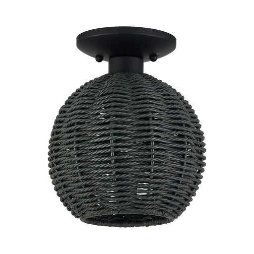 Deluna One Light Semi-Flush Mount Black