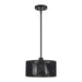Livex Lighting - 60243-04 - One Light Pendant - Acordia - Black