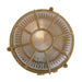 Mullan Lighting - MLBCF012RAWBRS - One Light Wall Sconce - Pasha - Raw Brass