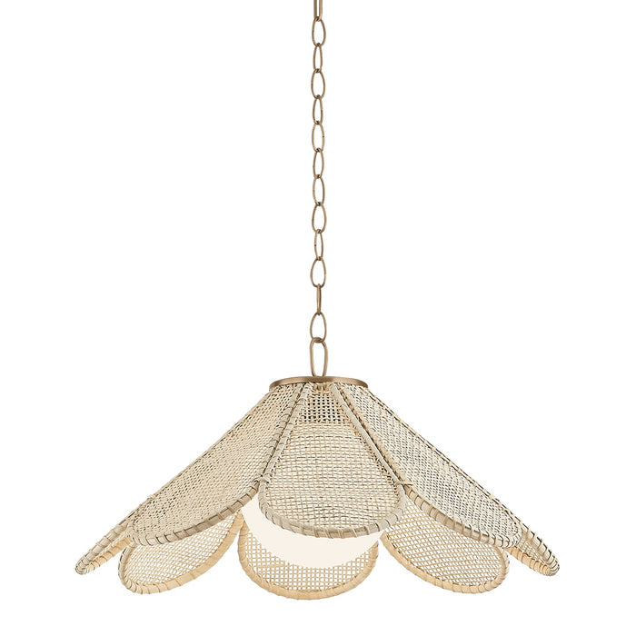 Troy Lighting - F3324-PBR - One Light Pendant - Petal - Patina Brass