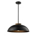 DVI Lighting - DVP36808EB+NW - Pendants - Metal Shade
