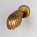 Mullan Lighting - MLWL517ANTBRS - One Light Wall Sconce - Shell - Adjustable