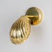 Mullan Lighting - MLWL517POLBRS - One Light Wall Sconce - Shell - Adjustable