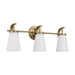 Capital Lighting - 161031AD-660 - Three Light Vanity - Drake - Aged Brass