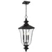 Quoizel - FARL1910MBK - Three Light Outdoor Hanging Lantern - Farley - Matte Black