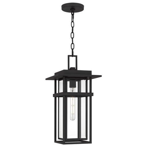 Morgan One Light Outdoor Hanging Lantern Earth Black