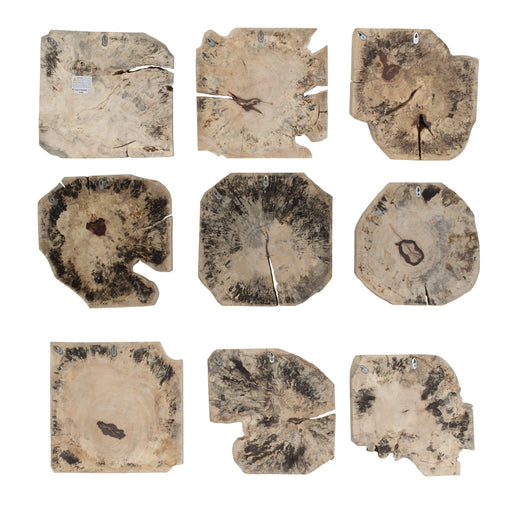 Bahati Wall Decor Set/9 Light Bleached