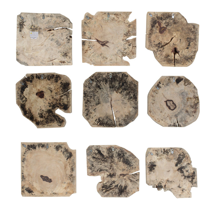 Uttermost - 04398 - Wall Decor Set/9 - Bahati - Light Bleached