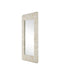 Currey and Company - 1000-0168 - Mirror - Turbinella - Natural