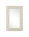 Currey and Company - 1000-0168 - Mirror - Turbinella - Natural