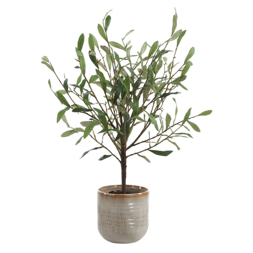 Solea Olive Vase Green And Silvery