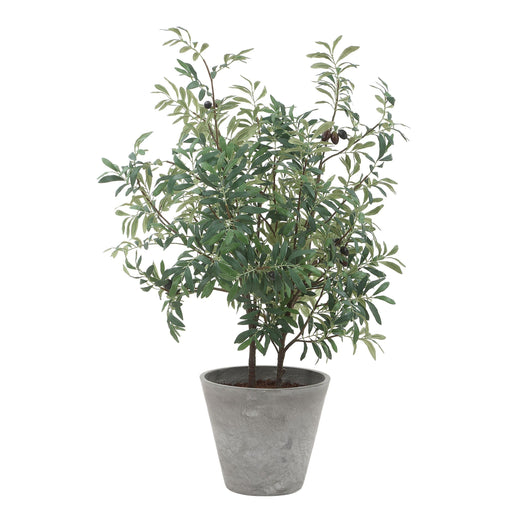Marisol Planter Natural-looking Olives