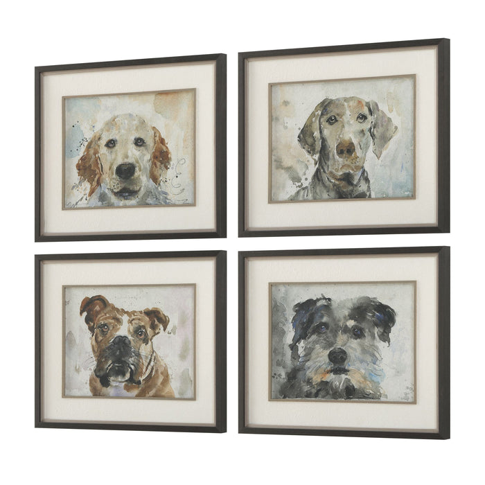 Uttermost - 32466 - Framed Prints Set/4 - Dog Days