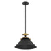 Thesis - 207318A - One Light Pendant - Tremolo - Textured Black, Champagne Gold