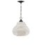 Currey and Company - 9000-1283 - One Light Pendant - Wintershall - White/Antique Brushed Nickel