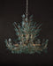 Currey and Company - 9000-1294 - 12 Light Chandelier - Baobab - Clear/Contemporary Silver Leaf/Contemporary Silver