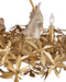 Currey and Company - 9000-1320 - Six Light Chandelier - Aviary - Swedish Gold