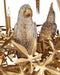 Currey and Company - 9000-1321 - 12 Light Chandelier - Aviary - Swedish Gold