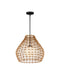 Currey and Company - 9500-0014 - One Light Pendant - Bly - Natural/Black/Frosted White