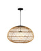 Currey and Company - 9500-0015 - One Light Pendant - Carriage - Natural/Black/Frosted White