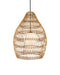 Currey and Company - 9500-0016 - One Light Pendant - Fishtrap - Natural/Black/Frosted White