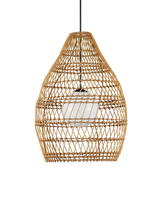 Currey and Company - 9500-0016 - One Light Pendant - Fishtrap - Natural/Black/Frosted White