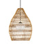 Currey and Company - 9500-0016 - One Light Pendant - Fishtrap - Natural/Black/Frosted White