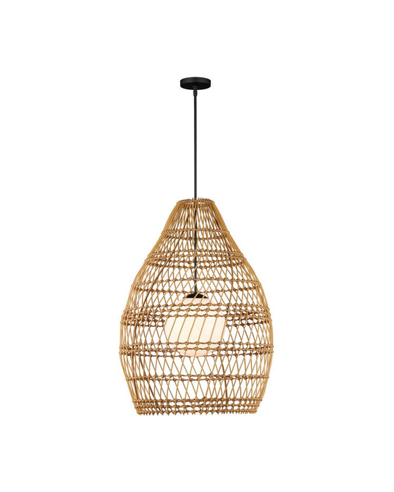 Currey and Company - 9500-0016 - One Light Pendant - Fishtrap - Natural/Black/Frosted White