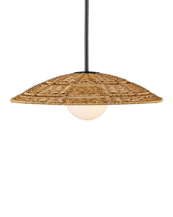 Currey and Company - 9500-0017 - One Light Pendant - Barbary - Natural/Black/Frosted White