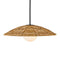 Currey and Company - 9500-0017 - One Light Pendant - Barbary - Natural/Black/Frosted White
