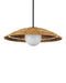 Currey and Company - 9500-0017 - One Light Pendant - Barbary - Natural/Black/Frosted White