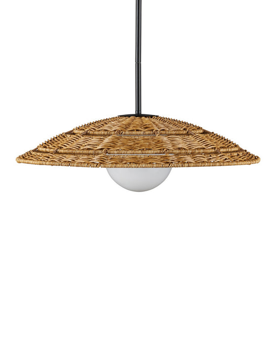 Currey and Company - 9500-0017 - One Light Pendant - Barbary - Natural/Black/Frosted White