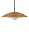 Currey and Company - 9500-0017 - One Light Pendant - Barbary - Natural/Black/Frosted White