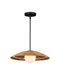 Currey and Company - 9500-0017 - One Light Pendant - Barbary - Natural/Black/Frosted White
