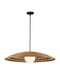 Currey and Company - 9500-0018 - One Light Pendant - Barbary - Natural/Black/Frosted White