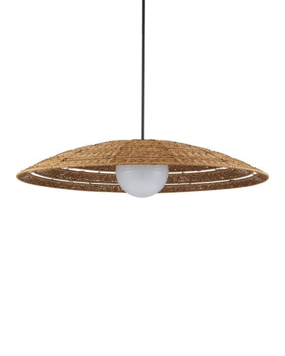 Currey and Company - 9500-0018 - One Light Pendant - Barbary - Natural/Black/Frosted White