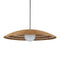 Currey and Company - 9500-0018 - One Light Pendant - Barbary - Natural/Black/Frosted White