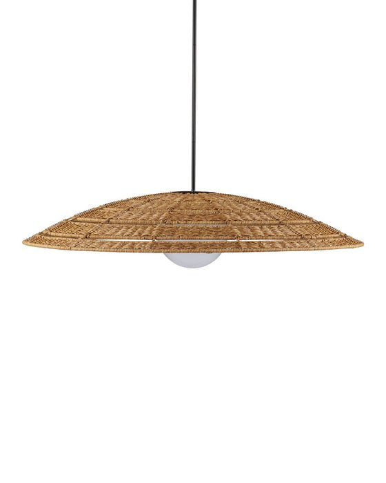 Currey and Company - 9500-0018 - One Light Pendant - Barbary - Natural/Black/Frosted White