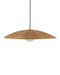 Currey and Company - 9500-0018 - One Light Pendant - Barbary - Natural/Black/Frosted White
