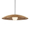 Currey and Company - 9500-0018 - One Light Pendant - Barbary - Natural/Black/Frosted White