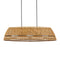 Currey and Company - 9500-0021 - Three Light Chandelier - Barbary - Natural/Black/Frosted White