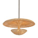 Troy Lighting - F6230-BRL - Three Light Pendant - Draco - Bronze Leaf