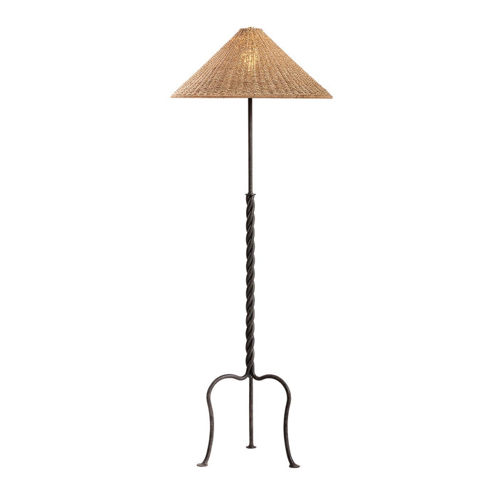 Troy Lighting - PFL5164-FRN - One Light Floor Lamp - Francisco - French Iron
