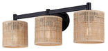 Canarm - IVL1206A03BK - Three Light Vanity - Meadow - Black