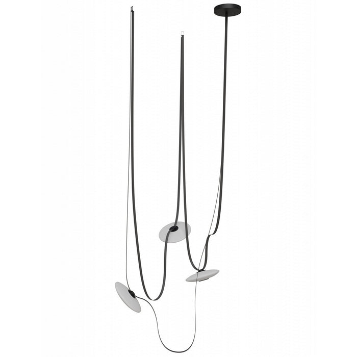 Avenue Lighting - HF7203-G201-BLK - LED Chandelier - Fremont - Black