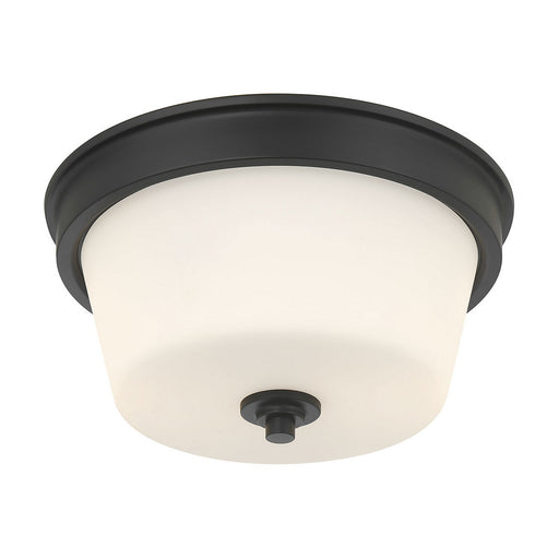 Strayhan Two Light Flush Mount Matte Black