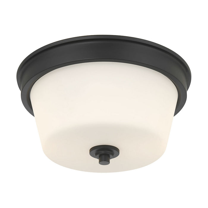 Millennium - 64102WG-MB - Two Light Flush Mount - Strayhan - Matte Black
