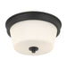 Millennium - 64102WG-MB - Two Light Flush Mount - Strayhan - Matte Black